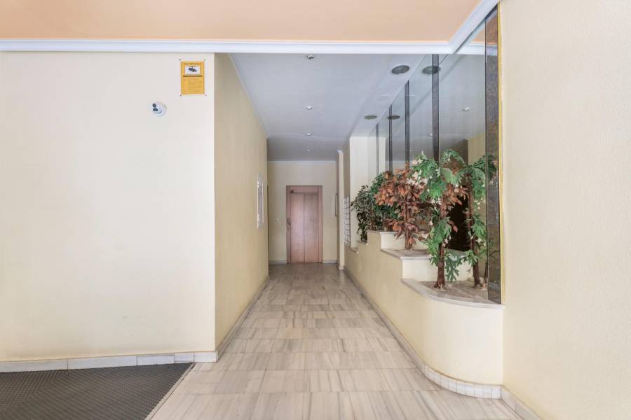 Sale - Apartment - Playa del cura - Torrevieja