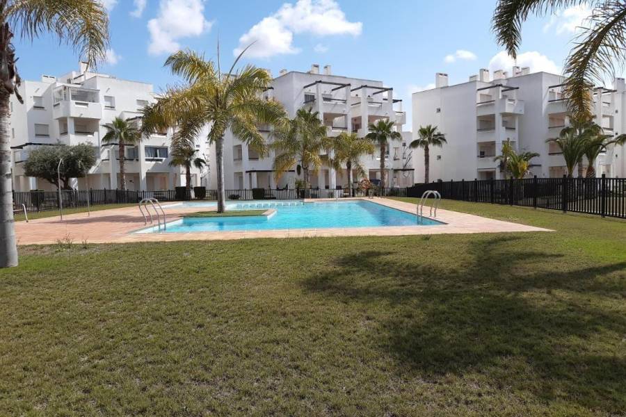 Vente - Appartement - LAS TERRAZAS DE LA TORRE GOLF RESORT - Torre - Pacheco