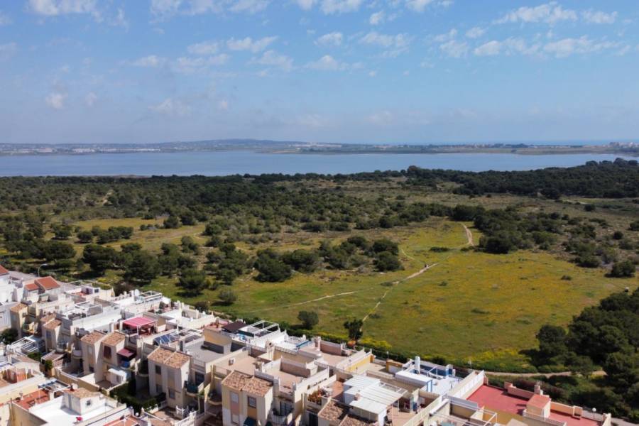 Venta - Bungalow Planta Baja - El chaparral - Torrevieja