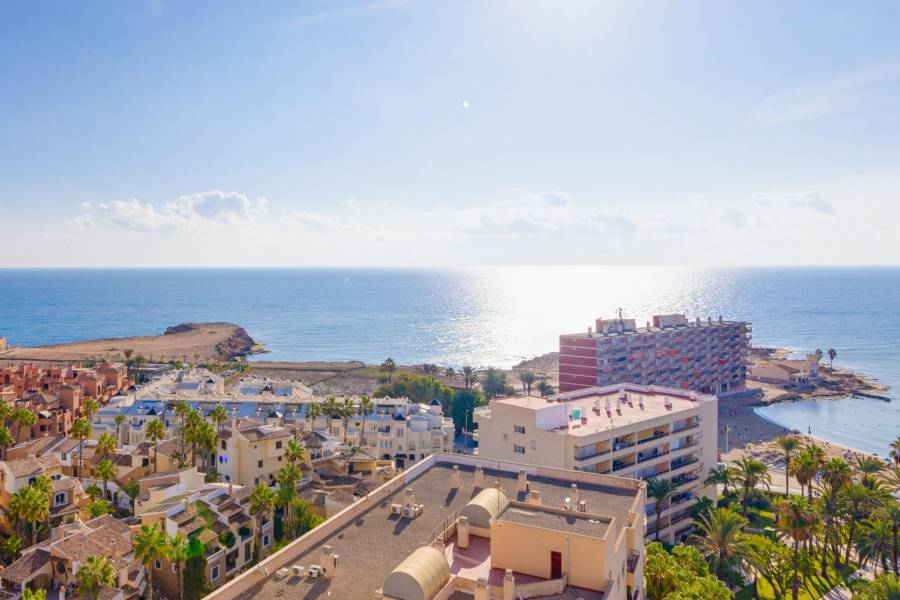 Sale - Apartment - Los Frutales - Torrevieja