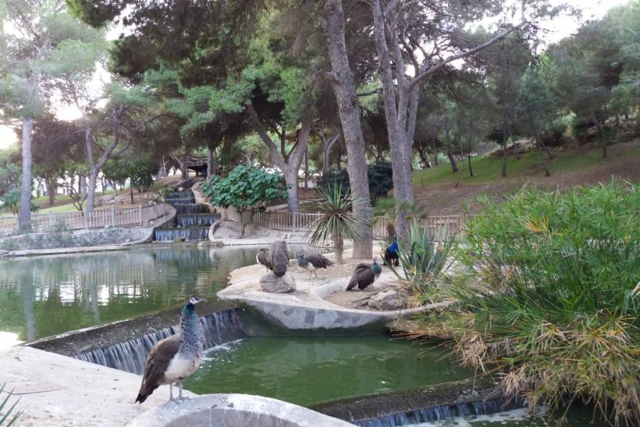 Sale - Apartment - Urb. pinomar - Guardamar del Segura