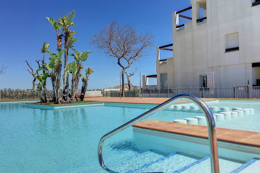 Vente - Appartement - LAS TERRAZAS DE LA TORRE GOLF RESORT - Torre - Pacheco