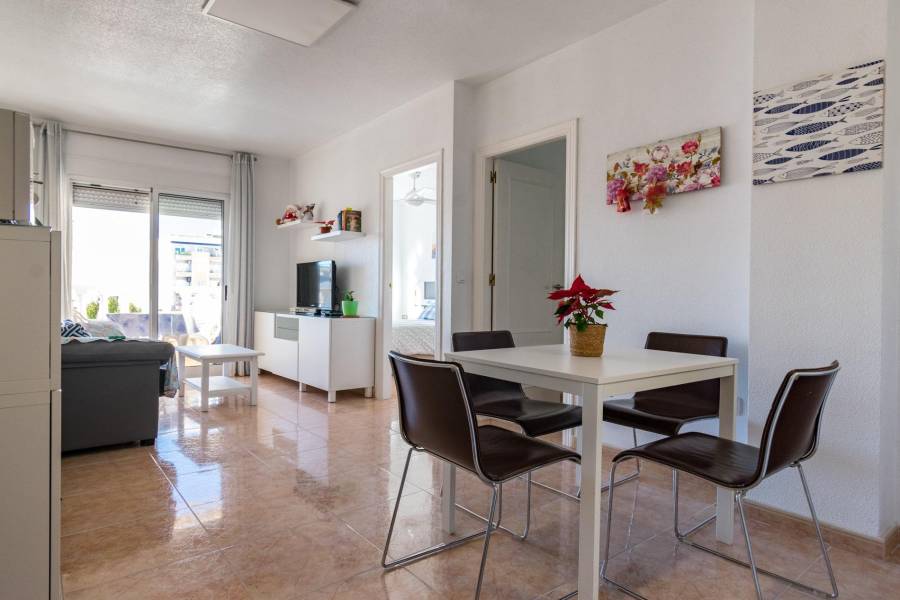 Vente - Appartement - torrevieja - Torrevieja