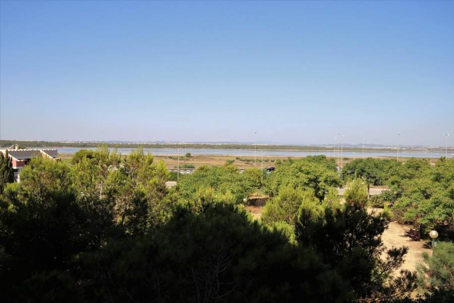 Venta - Apartamento - Pinomar - Guardamar del Segura