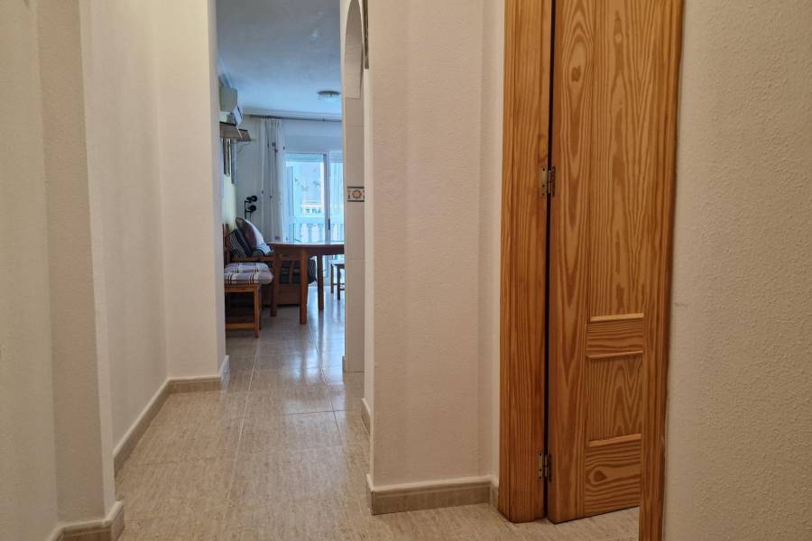 Vente - Appartement - Centro - Torrevieja