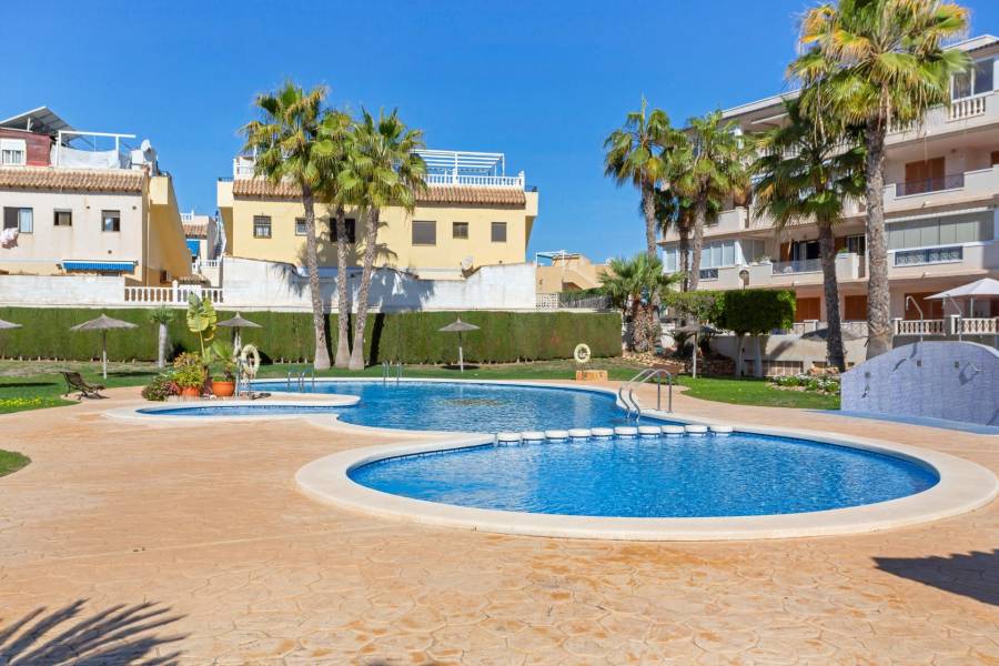 Venta - Apartamento - La Mata - Torrevieja