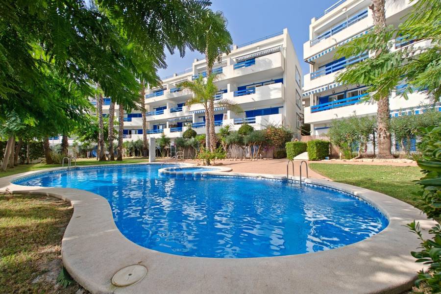 Vente - Appartement - Playa Flamenca - Orihuela Costa