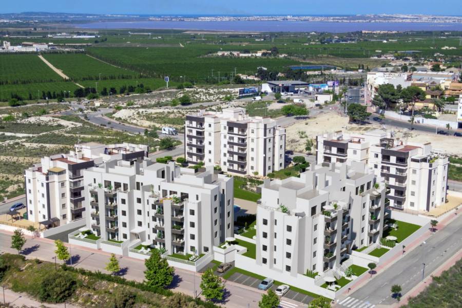 Sale - Flat - CENTRO CIUDAD - San Miguel de Salinas