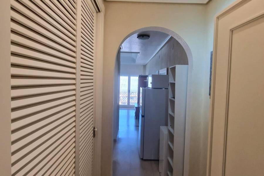 Sale - Studio - Paseo maritimo - Torrevieja