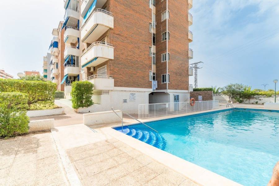 Vente - Appartement de ville - Rocio del mar - Torrevieja