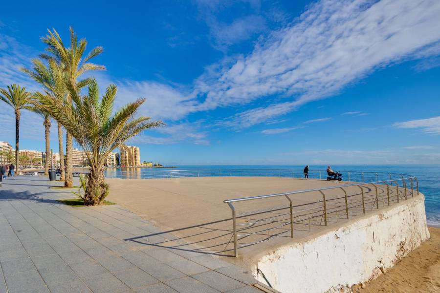 Vente - Studio - Centro - Torrevieja