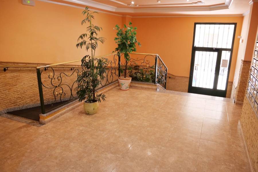 Venta - Apartamento - Playa de los locos - Torrevieja