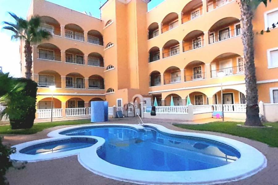 Apartment - Rental - Villamartin - Orihuela Costa