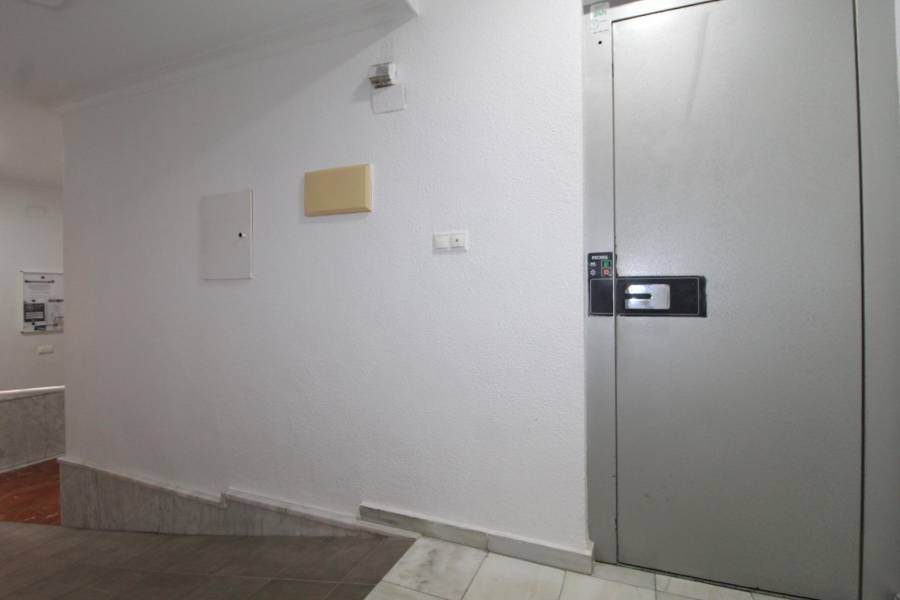 Venta - Estudio - Habaneras - Torrevieja