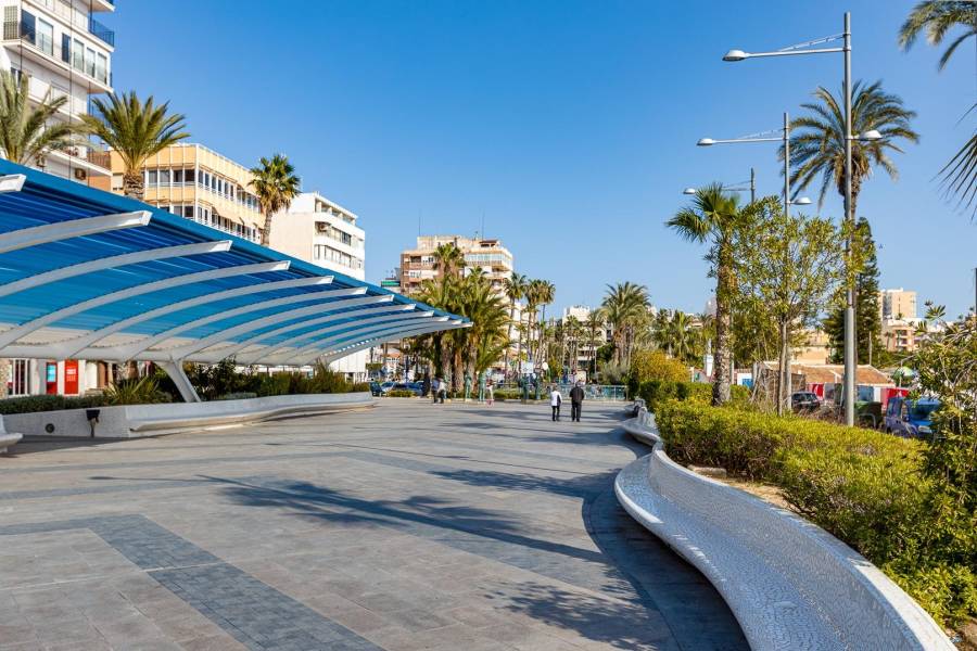 Vente - Penthouse - Centro - Torrevieja