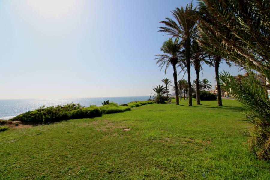 Vente - Appartement - La veleta - Torrevieja