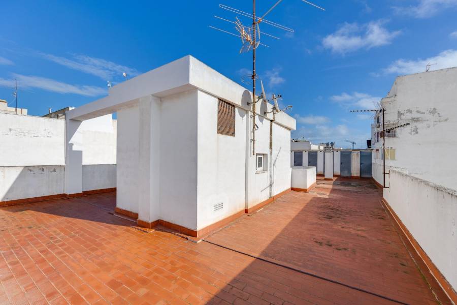 Vente - Penthouse - Paseo maritimo - Torrevieja