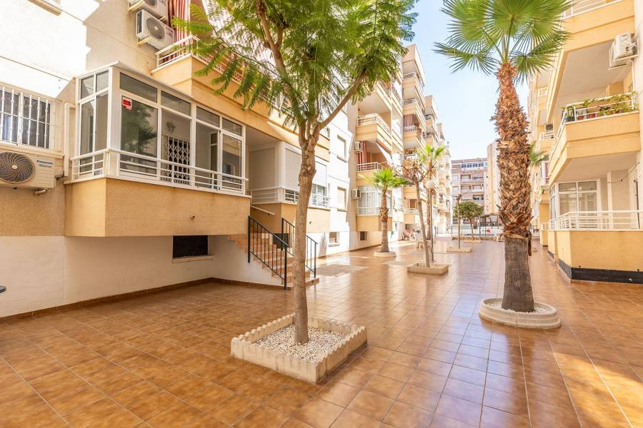 Sale - Apartment - Estacion de autobuses - Torrevieja