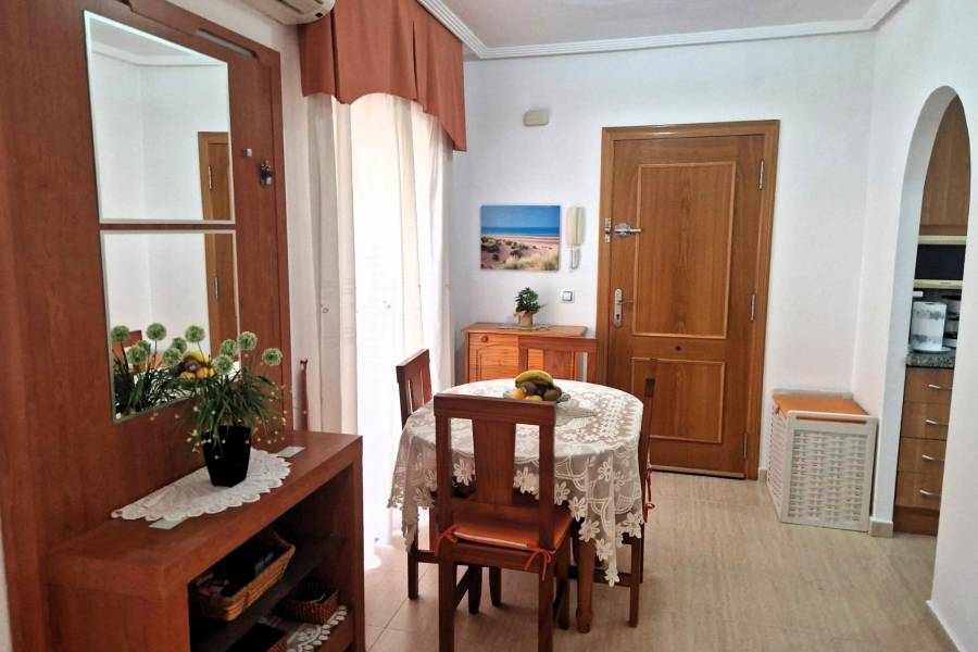 Venta - Apartamento - torrevieja - Torrevieja