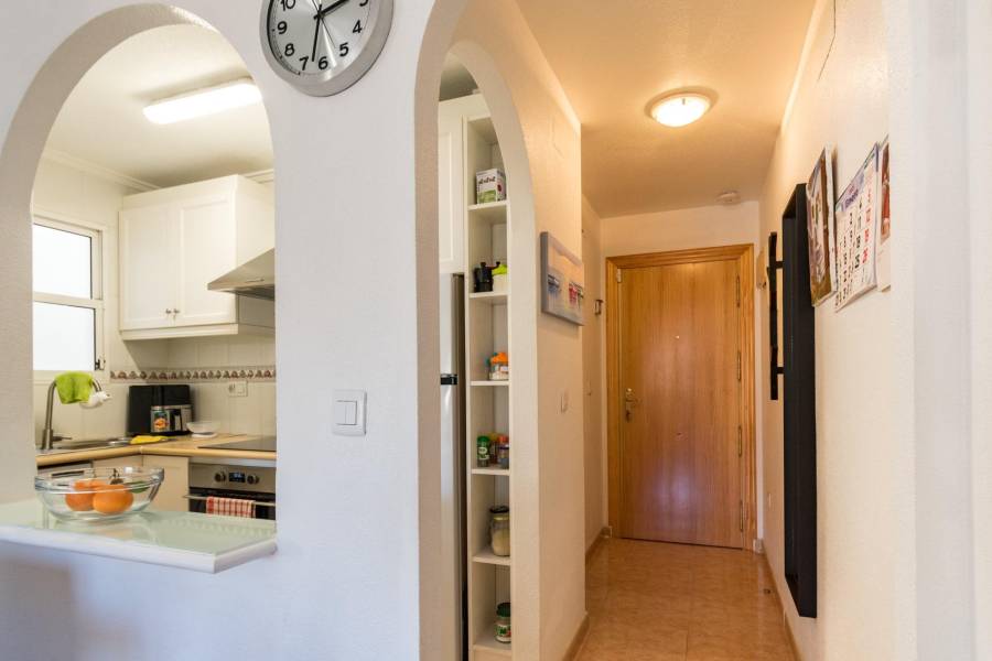 Vente - Appartement - torrevieja - Torrevieja