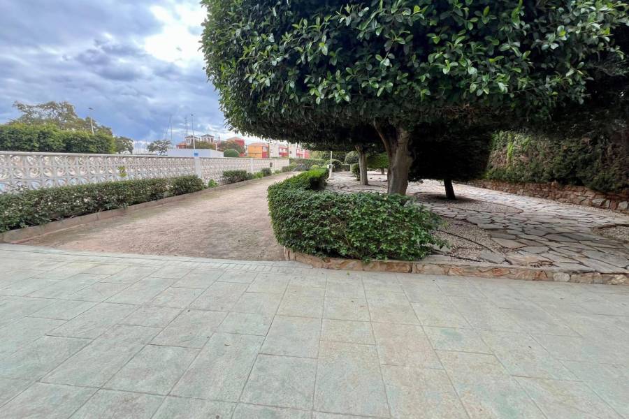 Venta - Apartamento - torrevieja - Torrevieja