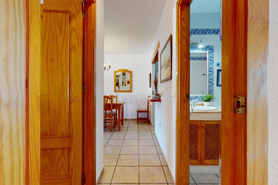 Sale - Single family house - La Torre de la Horadada - Pilar de la Horadada