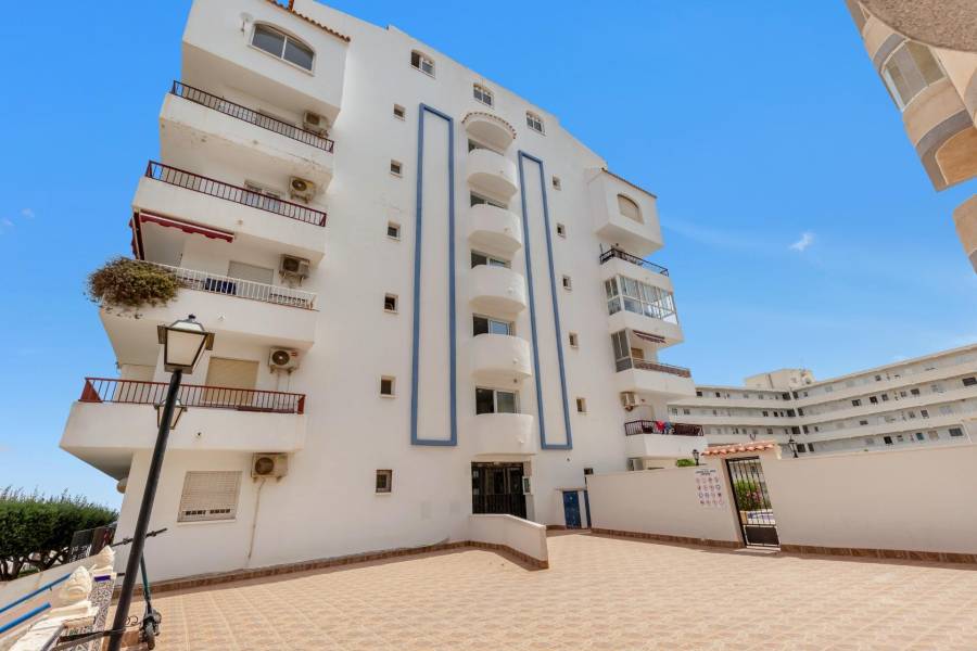 Sale - Duplex Penthouse - Torre la mata - Torrevieja