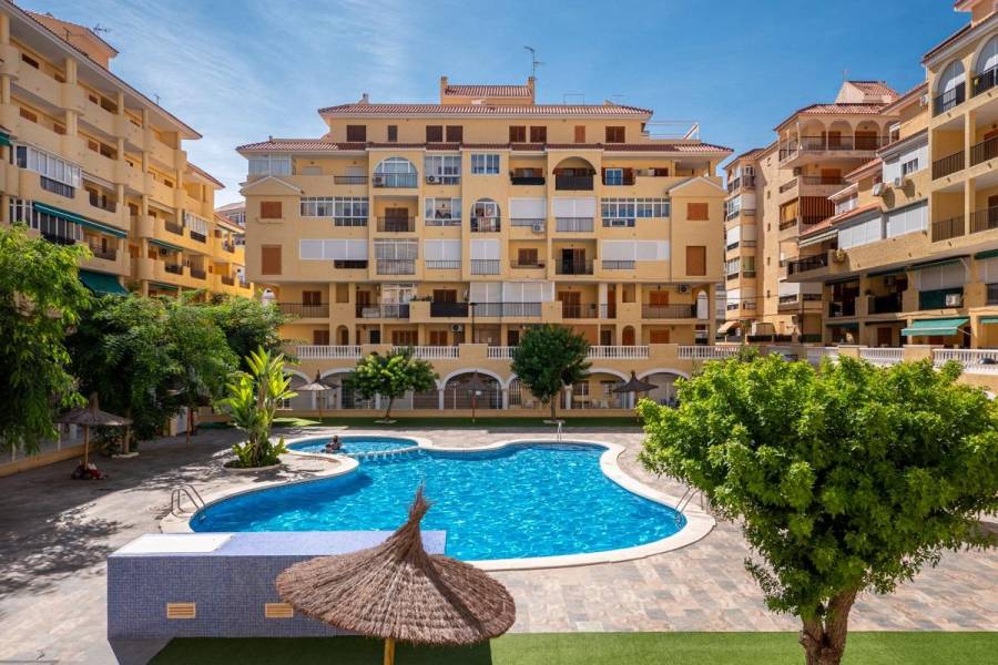 Apartment - Sale - La Mata - Torrevieja