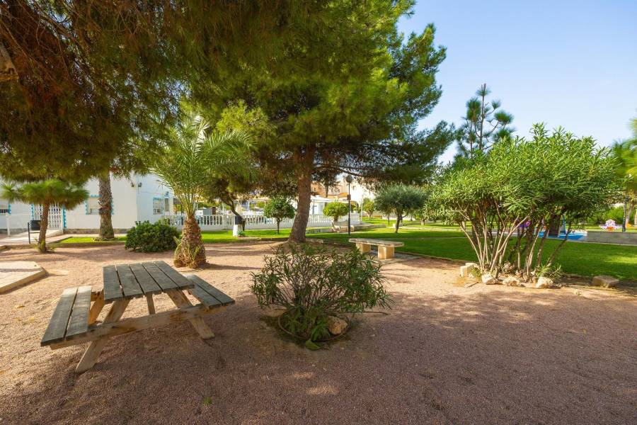 Sale - Terraced house - Torreta florida - Torrevieja