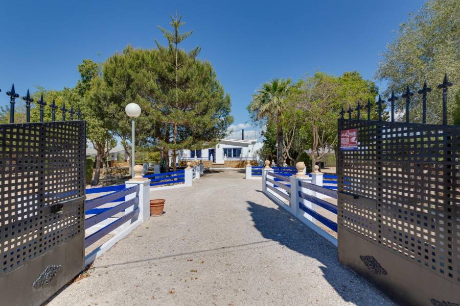 Vente - Maison individuelle - Correntías Bajas - Orihuela