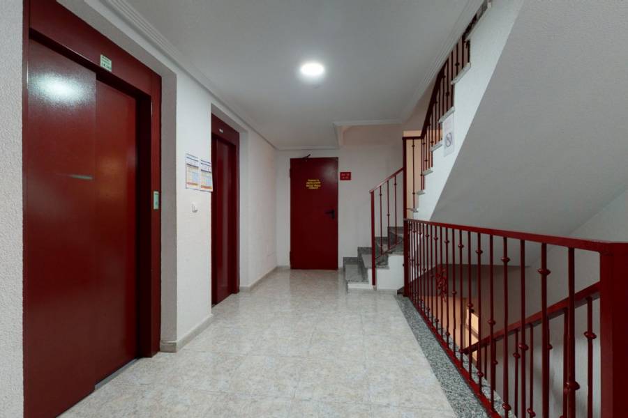 Venta - Apartamento - Parque las naciones - Torrevieja