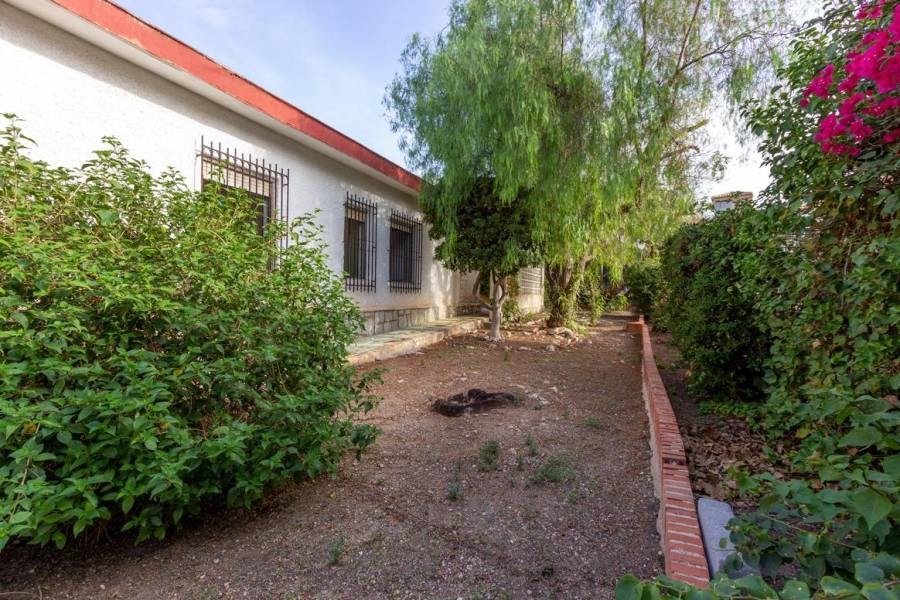 Vente - Maison individuelle - Cabo cervera - Torrevieja