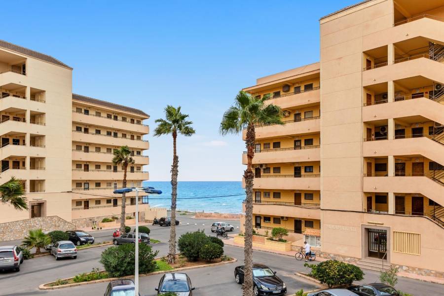 Sale - Apartment - Cabo cervera - Torrevieja