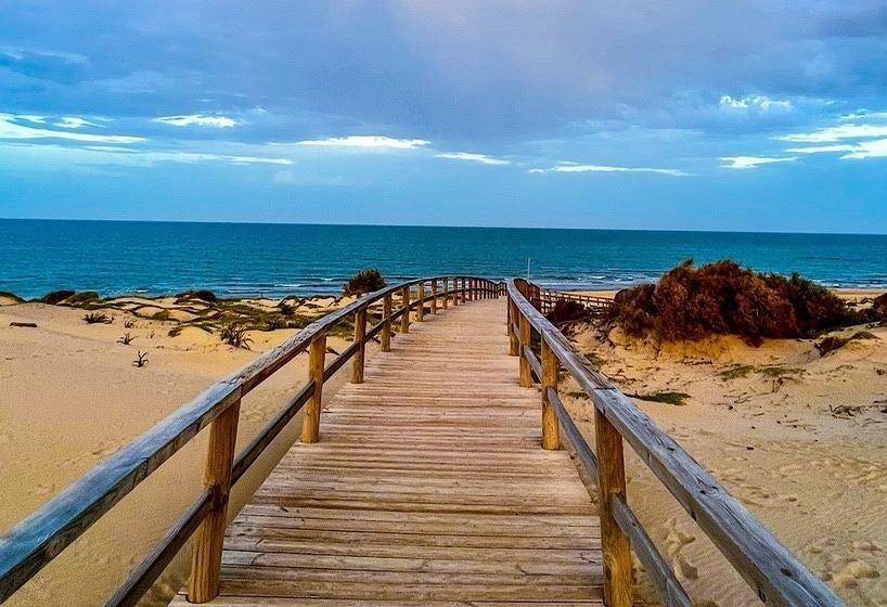 Venta - Ático - Playa de los locos - Torrevieja