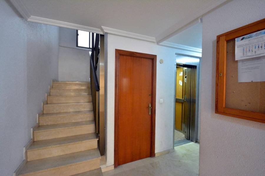 Sale - Flat - Pueblo - Guardamar del Segura