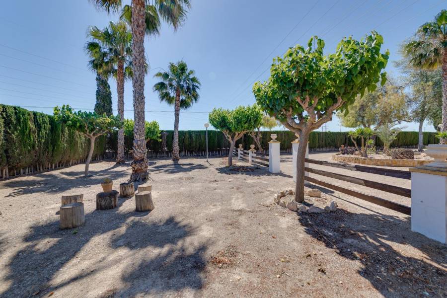 Vente - Maison individuelle - Correntías Bajas - Orihuela