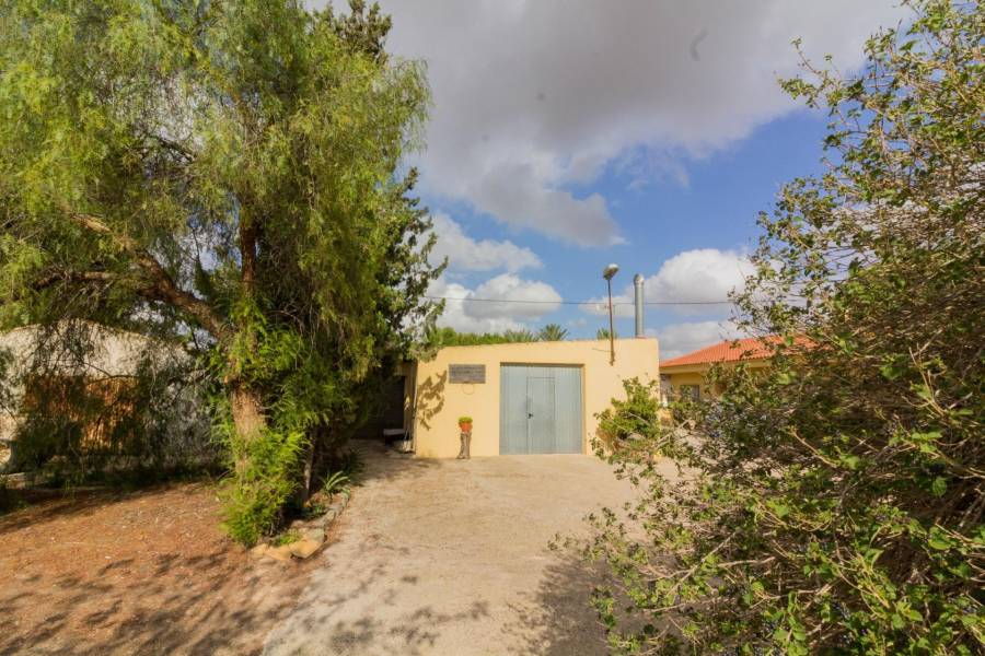 Vente - Maison - La Matanza - Orihuela