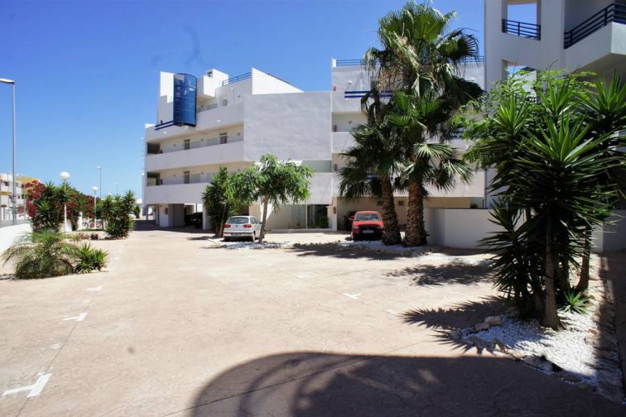 Sale - Penthouse - Playa Flamenca - Orihuela Costa