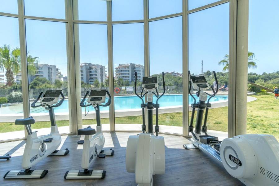 Sale - Penthouse - Los Dolses - Orihuela Costa