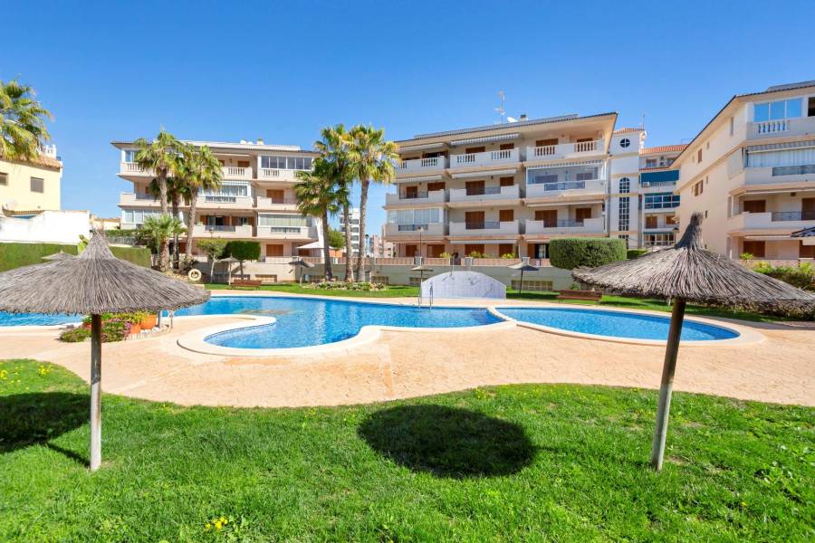 Venta - Apartamento - La Mata - Torrevieja