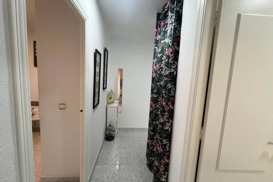 Venta - Chalet - Aguas Nuevas - Torrevieja