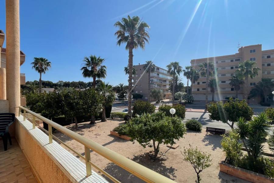 Venta - Apartamento - Pinomar - Guardamar del Segura