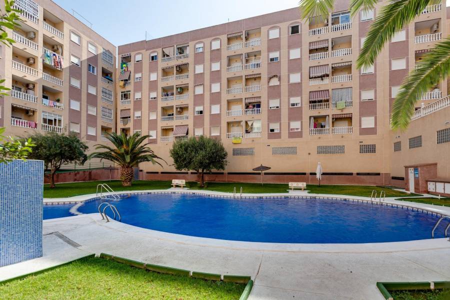 Sale - Apartment - Centro - Torrevieja