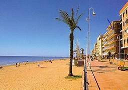 Venta - Apartamento - Los secanos - Guardamar del Segura