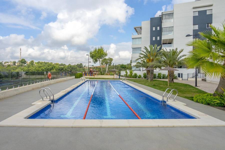 Sale - Penthouse - Los Dolses - Orihuela Costa