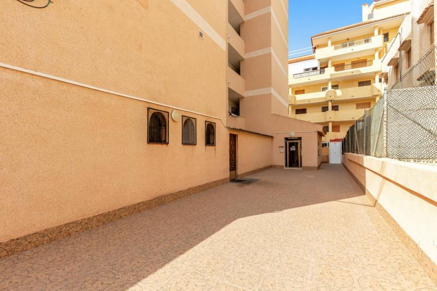 Vente - Studio - La Mata - Torrevieja