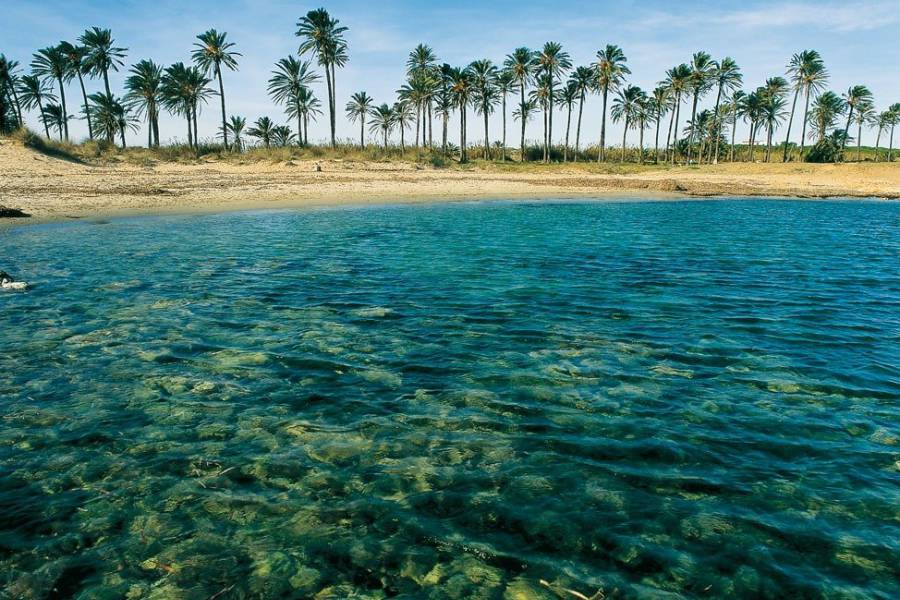 Vente - Appartement - Playa de los Naufragos - Torrevieja