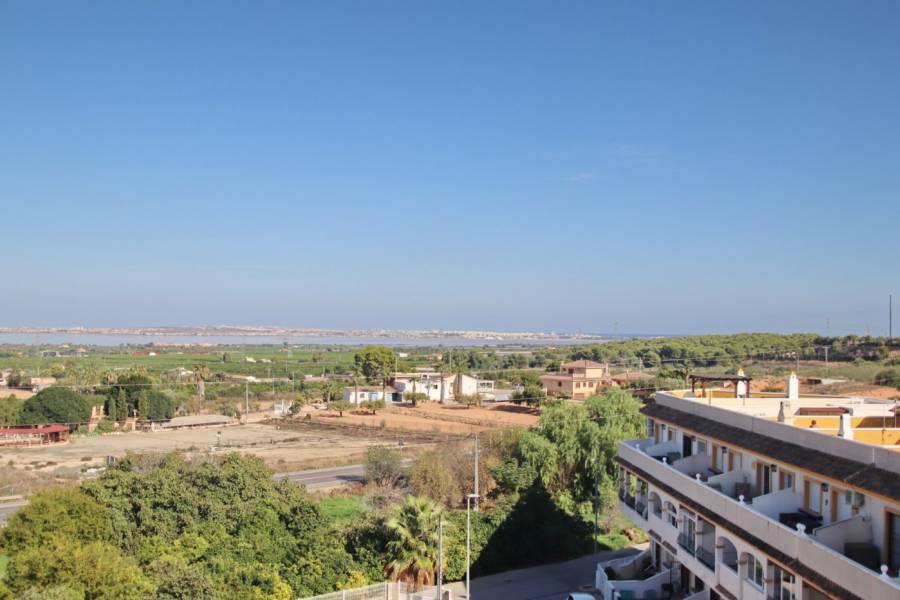 Venta - Apartamento - San Miguel de Salinas