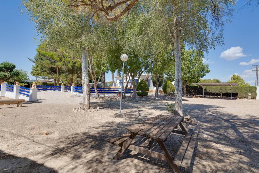 Vente - Maison individuelle - Correntías Bajas - Orihuela