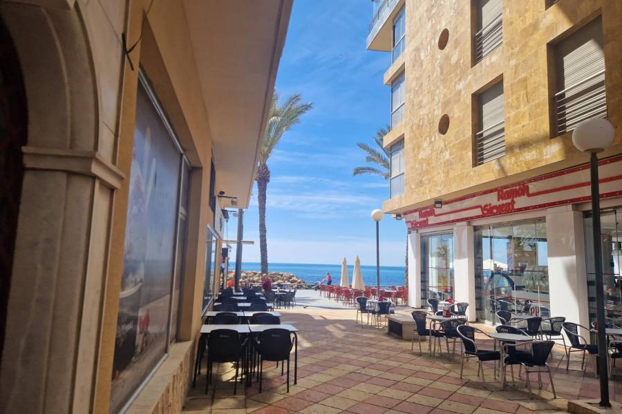 Vente - Studio - Paseo maritimo - Torrevieja